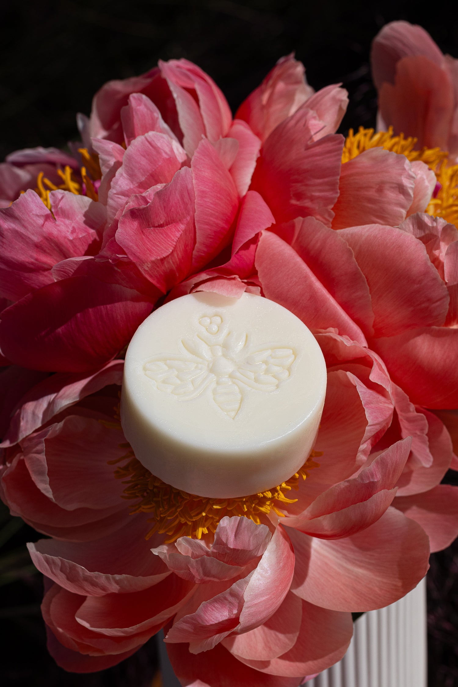 Beeswax Solid Lotion Bars
