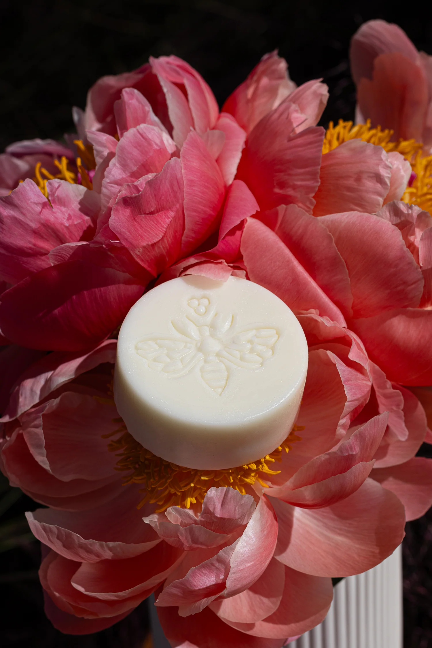 Beeswax lotion bar from Goodfriend Honey Co.